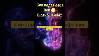 как ведёт себя лев ♌ отношениях