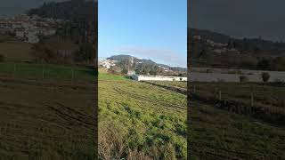 village life #shorts #youtubeshort #trendingshorts #portugal #somghale