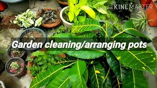 #Garden cleaning#Cleaning and arranging pots.