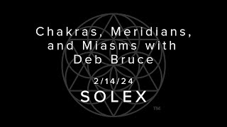 Chakras, Meridians, and Miasms with Deb Bruce