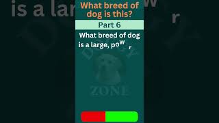 🐾 Guess the Breed Challenge! Part - 6 🐶| Dog Breed  | Dog Lovers