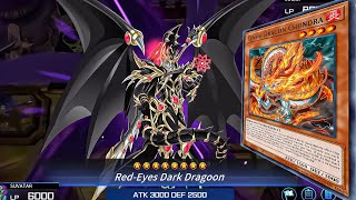 DRAGOON IS BACK - Red eyes Dark Dragoon x Tenpai Is Insane! Yu-Gi-Oh! Master Duel