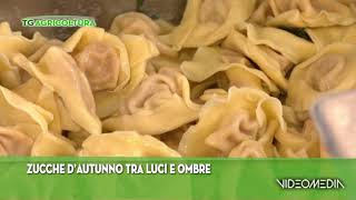 GREENNEWS ZUCCHE TRA LUCI E OMBRE_TGAG_20241117