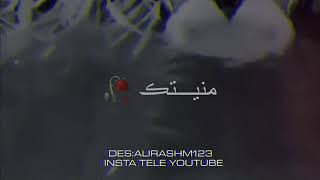 احمد الساعدي | أنا السگاي