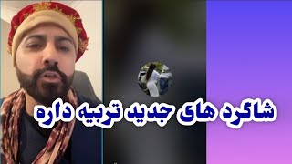 الپچینو لایف