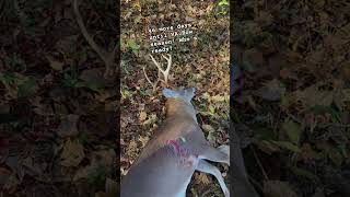 #shortvideo #nature #deerhunting #ytshorts #wildlife #hunting #ytshorts #deerhunting #hunting #fyp