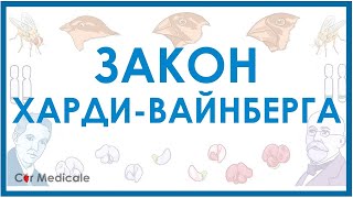 Как посчитать распределение по Харди Вайнбергу