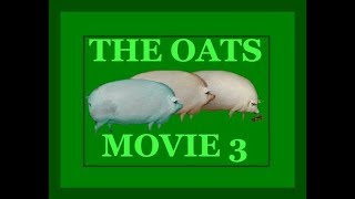 The Oats Movie 3