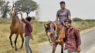 शक्ति की नयी दोस्त को घर लेके आजाये क्या😱😱😱#baawalechorevlogs #baawalechorecows #horsevlog #newhorse