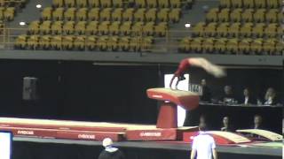 2014 Gymnix AA Aleeza Yu Vault