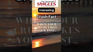 Phoenix Singles Interesting Facts #phoenix  #singles #relationships #dating