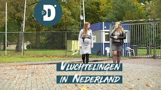 Vluchtelingen in Nederland