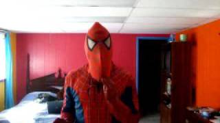 Welland Spidey Video #3