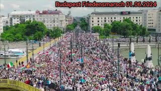 Genf, Berlin & Budapest - Protest gegen Pandemievertrag / WHO & für den Frieden 01.06.2024