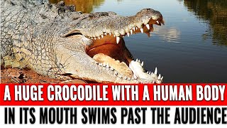 A huge crocodile with a human body in its mouth swims past the audience.