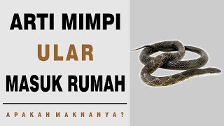 Arti Mimpi Ular Masuk Rumah