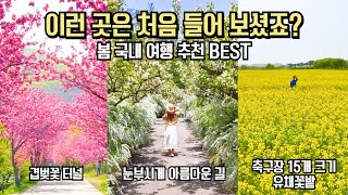 국내 여행 추천 놓치면 후회할 새로운 4월 봄 여행 명소 BEST 7