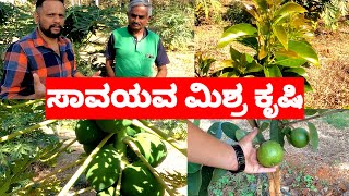 ಸಾವಯವ ಮಿಶ್ರಿತ ತೋಟಗಾರಿಕೆ ಕೃಷಿ, Organic Mixed Horticultural Farming #savesoil