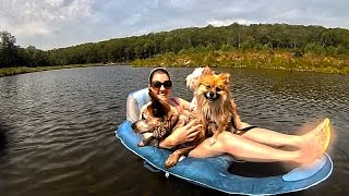 Where to take your Dogs swimming in NJ | Where to pick Apples in NJ