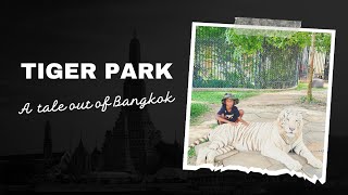 Thrilling Encounter: Face to Face with Bangkok Tiger Park's Predators