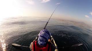 Baja Kayak Fishing big barracuda Agosto 2015