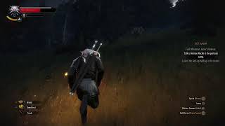 The Witcher 3: Wild Hunt (PS5) Episode 25