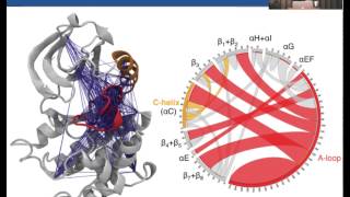 The Future of Molecular Dynamics