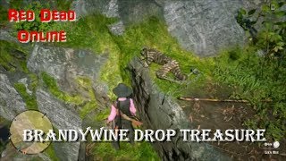 Red Dead Online: Brandywine Drop Treasure Hunt