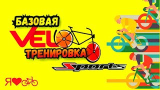 Базовая VeLoтренировка  #ЛАРАзвезДА