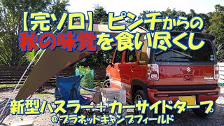 【完全ソロキャン】ピンチからの秋の味覚食い尽くし 新型ハスラー車中泊+カーサイドタープ@プラネットキャンプフィールド