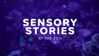 Sensory Stories at ZSL London Zoo