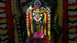 Kandhasasti Viradham Part 1 #muruga #murugar #murugan #muruganthunai #muruganvaaku