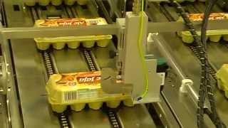 Egg Pak Printing