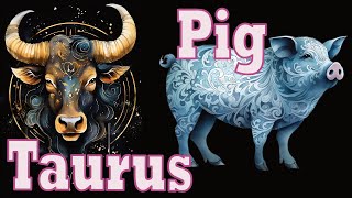 Taurus Pig - Gentle and Practical Nature