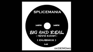 Splicemania Big And Real TEMPO]RIDDIM MIX70BPM