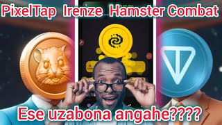 Niyihe Izaduha Amafaranga Menshi Hagati Ya Hamster Combat Na PixelTap?