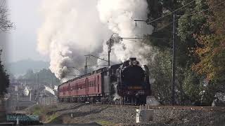 Australian Steam Trains: Steam at the foot of the Yarra Valley