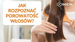 Porowatość włosów. Jak rozpoznać swój typ włosa?