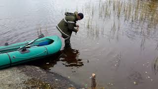 Каннибалы карельских озер. Perch biting on perch