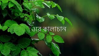 Kalachan (Lyrics) | কালাচান | Tosiba | FA Pritom | Alif | Pronome Nafi | Eid Song | Lyrical Video