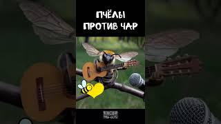 Пчела Любви🐝❤️ летит по следам Волкодава! #александрволкодав #пчелы #казачья #volkodav #топ #голос