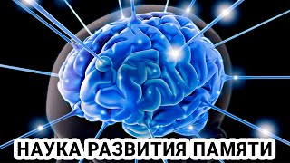 Как улучшить интеллект