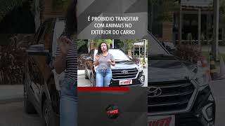 Não quebre essa lei de trânsito no transporte de pets! | #shorts