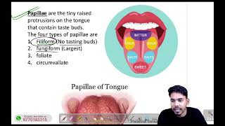 Human tongue and papillae / taste buds oftongue - Biology