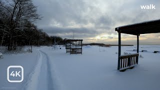 Прогулка вдоль залива по снежному пляжу. Санкт-Петербург / A walk along the bay on a snowy beach