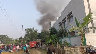 ফুলবাড়ীর ঢাকা মোড়ে বাঙ্গালী তুলার গোডাউনে আগুন লেগে ২টি ছাগলসহ প্রায় ৮ লক্ষ টাকার তুলা পুড়ে ছাই।