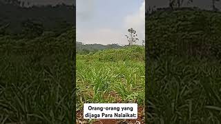 Orang-orang yang Dijaga Para Malaikat: