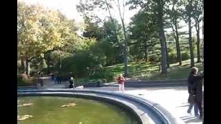 Central Park New York (USA) - Turist murder Vision