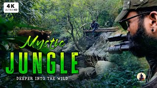 MYSTIC JUNGLE - Deeper into the wild | Alone in the Forest Challenges | 4K Nature Adventure Film