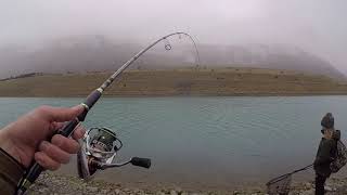 Chasing PB rainbow trout at the twizel canals